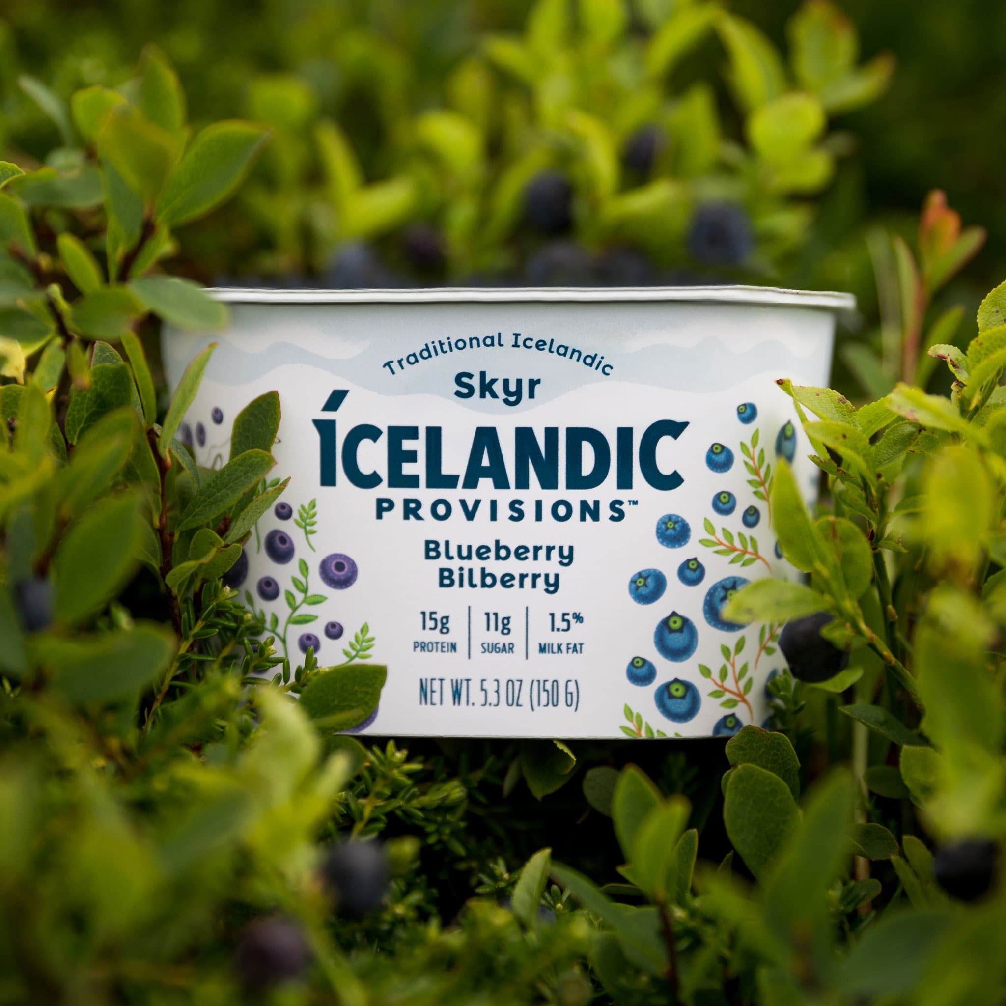 Icelandic Provisions Brand Identity, Packaging, and Website | Moxie Sozo